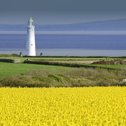 Fields and Lighthouse